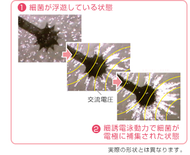 最近が浮遊している状態