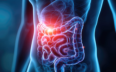 水素が血液循環を活発化することで胃腸の活動が良くなり消化を助けます