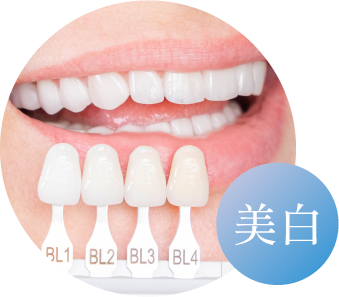 美しい白い歯