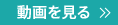 動画を見る