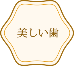 美しい歯