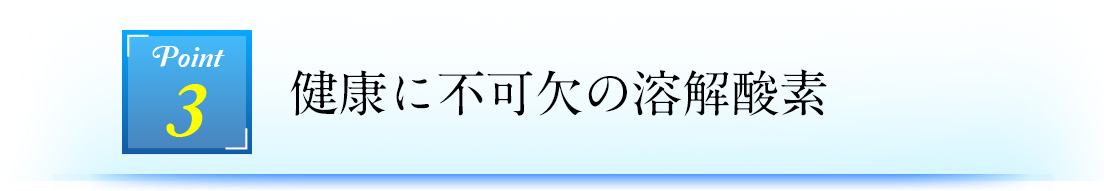 Point3 健康に不可欠の溶解酸素