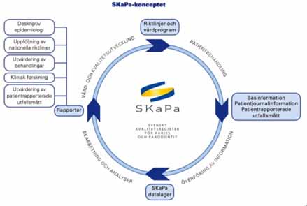 SKaPa（スウェーデンのう蝕と歯周炎に関する品質登録）_図1