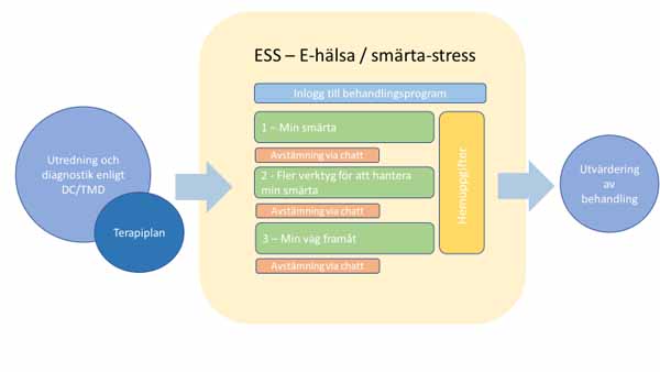 口腔顔面痛と顎機能障害のための痛みスクール_図3