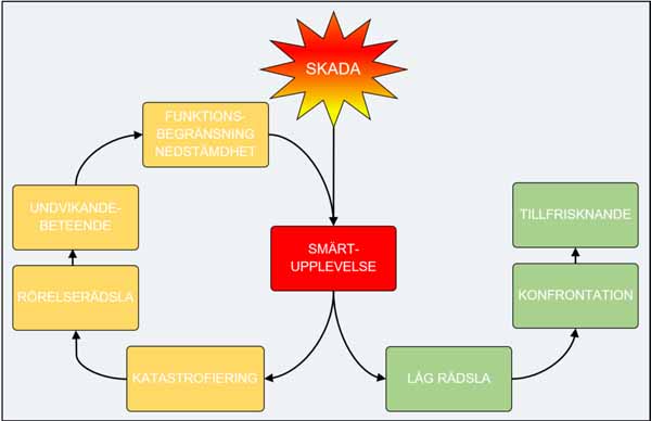 長期にわたるTMDにおける破局的思考と運動への恐怖_図1
