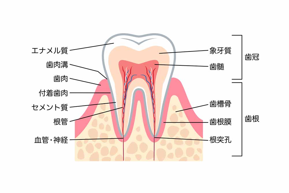 歯槽骨手術の合併症
